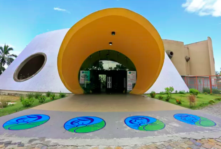 Aquário de Paranaguá (PR): Localizado no Paraná, o aquário foi inaugurado em 1996 e é considerado o maior aquário do sul do Brasil. São mais de 300 espécies de animais marinhos, como peixes, tubarões, raias, tartarugas, golfinhos e pinguins em uma área de 11.500 m².