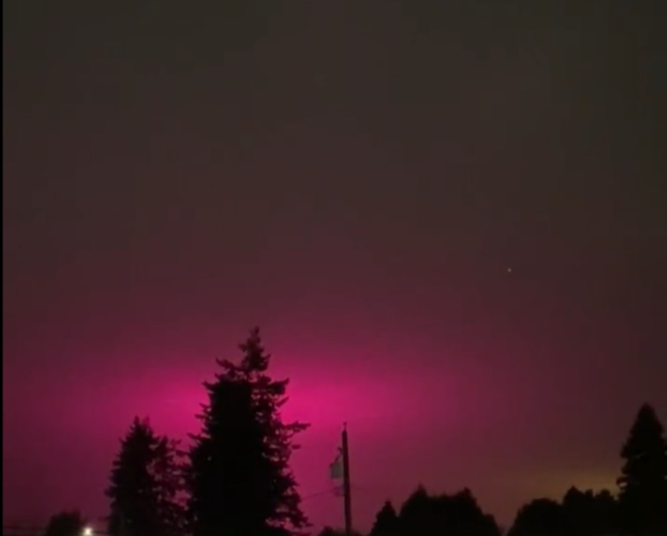 Delta tem estufas comerciais que produzem maconha. A luz roxa auxilia no ciclo do cultivo. Raramente é usada, mas causa a poluição luminosa roxa. Nada exótico!, explicou a polícia. 