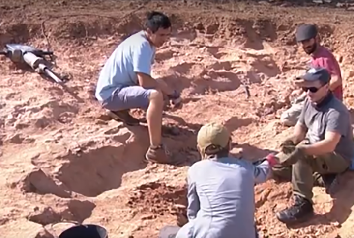 Em Presidente Prudente (SP), paleontólogos fazem buscas e pesquisas no Parque dos Girassóis. Ali, Paleontólogos do Museu de Marília anunciaram, em dezembro de 2021, a descoberta de cinco ovos de dinossauros.