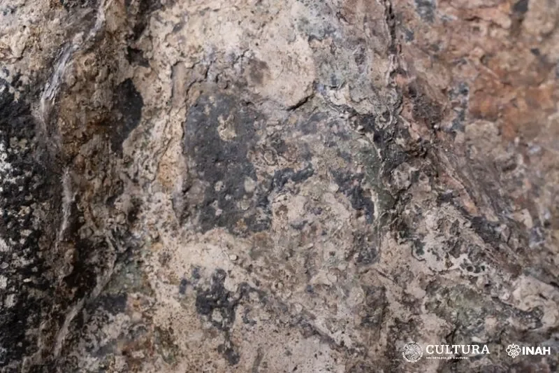 Para estabilizar os pigmentos, os pesquisadores utilizam métodos sofisticados de preservação. E o processo de policromia é importante para a preservação da escultura. Os pigmentos usados pelos astecas provinham de minerais e vegetais. 