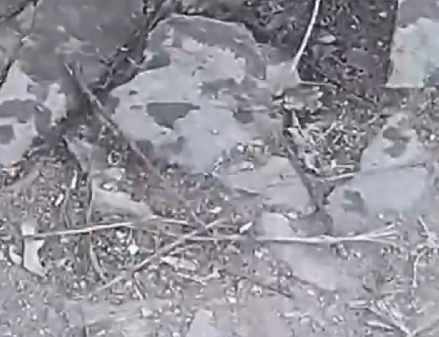 Os agricultores locais chegaram a se perguntam se esse evento é apenas um fenômeno raro ou algo de natureza sobrenatural. 