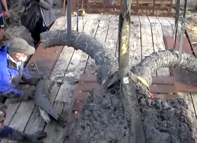 Foi nessa hora que eles perceberam que algo grande e pré-histórico estava escondido nas profundezas do solo.