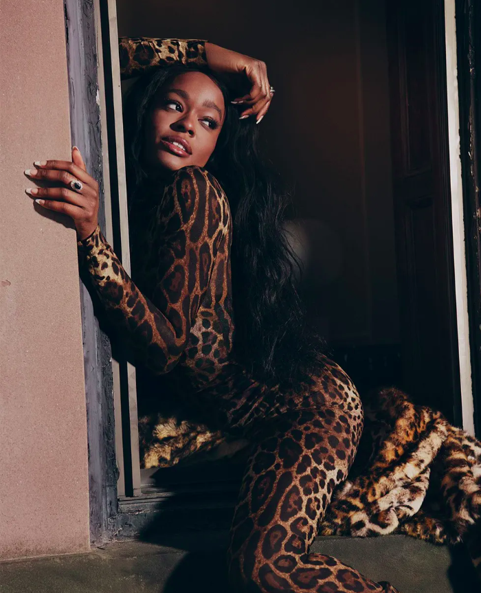 A rapper ficou conhecida em 2011, quando ficou em primeiro na “Cool List” da tradicional revista New Musical Express - NME.