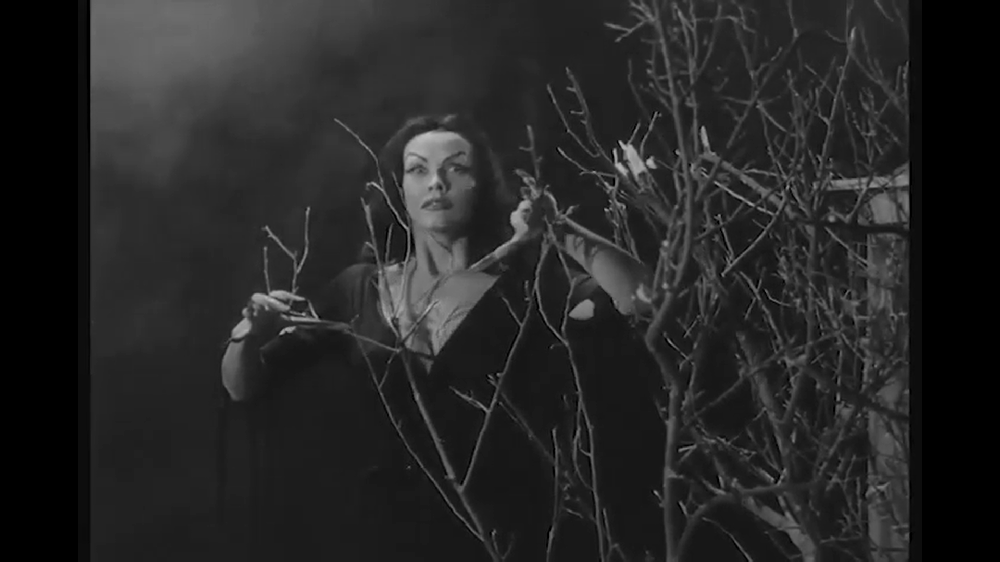 O autor ficou conhecido por suas obras de terror e ficção científica. Uma dessas, “Plano 9 do Espaço Sideral”, viria a se tornar um clássico cult do cinema trash.