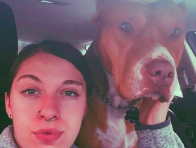 O cachorro que a atacou era uma mistura de pitbull com bulldog. 