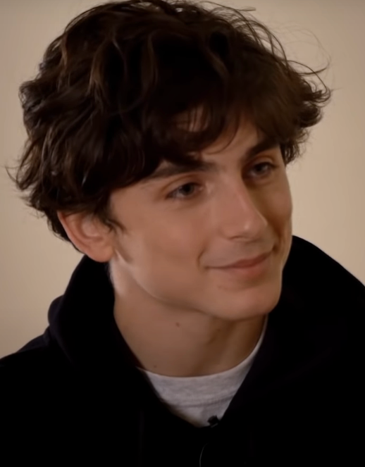 Ele é filho da norte-americana Nicole Flender, uma corretora de imóveis e ex-dançarina da Broadway, e do francês Marc Chalamet, editor da Unicef.
