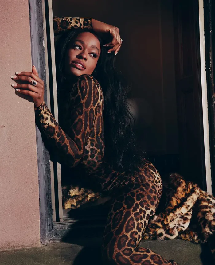 A rapper ficou conhecida em 2011, quando ficou em primeiro na “Cool List” da tradicional revista New Musical Express - NME.