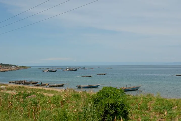 Milhões de pessoas dependem do Tanganica para seu sustento. Entre elas, quase cem mil pescadores. O lago se destaca por sua biodiversidade, já que conta com mais de 1.500 espécies de animais e plantas como, por exemplo, os crocodilos do Nilo, garoupas gigantes, medusas de água doce e enguias .