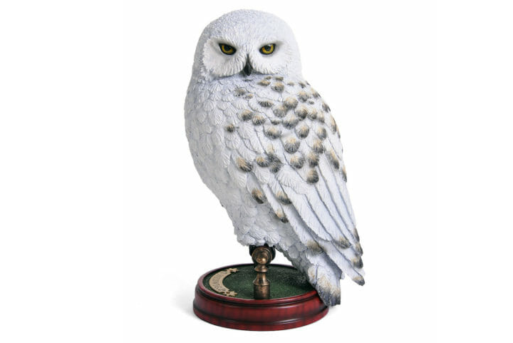 O nome Hedwig é uma homenagem à Santa Hedwig, a padroeira da Silésia e da Polônia, e também é um nome que possui raízes germânicas e significa batalha justa. 