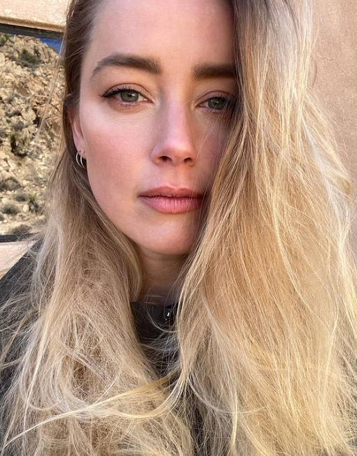 Amber afirmou que foi usada como cinzeiro humano por Depp, que apagou o cigarro nela. O ator declarou que Amber fez cocô na cama para provocá-lo. Ela alegou que as fezes eram do cachorro, mas houve até depoimento da empregada declarando que o excremento, pelo tamanho, só podia ser de gente. 