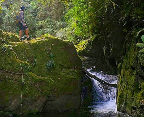 Em 2020, o Caminho da Mata Atlântica foi escolhido pelo jornal New York Times como um dos 52 melhores destinos para viagem no mundo. Um lugar especial na lista dos que devem ser visitados no planeta. 