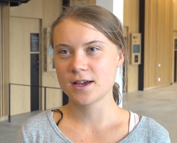 Ao ser questionada sobre as acusações, Thunberg afirmou no tribunal: É correto que eu estava naquele lugar naquele dia, e é correto que recebi uma ordem que não dei ouvidos, mas quero negar o crime.
