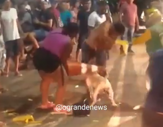 Um pitbull só parou de atacar um outro cachorro em São Miguel do Guamá, no Pará, quando recebeu golpes na cabeça.