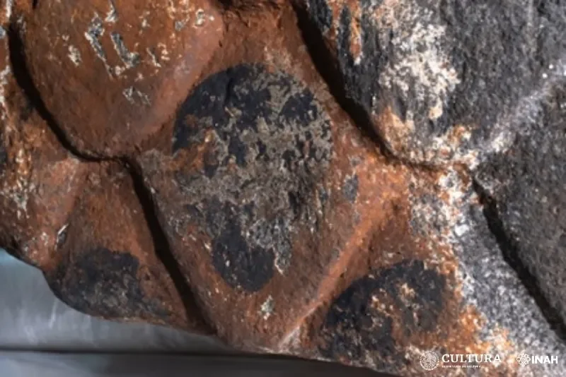 Bertrand Lobjois, professor associado de humanidades na Universidade de Monterrey, no México, também destacou o tamanho notável da escultura e elogiou os esforços de conservação que permitiram que as cores vívidas perdurassem. 