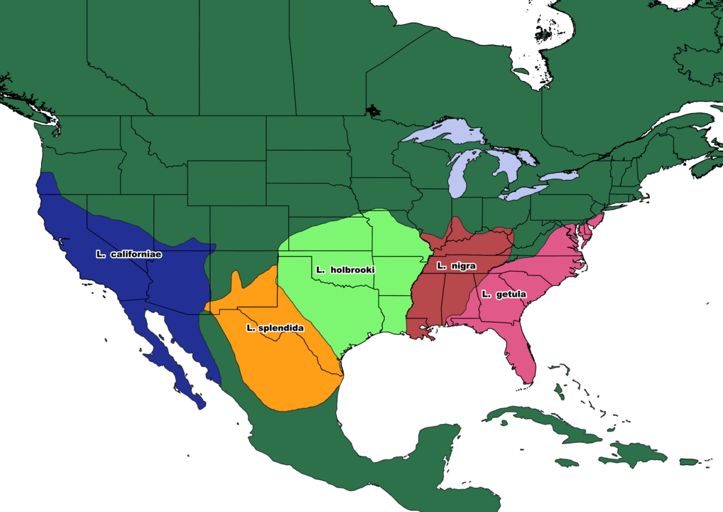  Ela habita áreas diversas como desertos, florestas e regiões costeiras. É conhecida por sua incrível adaptabilidade ambiental