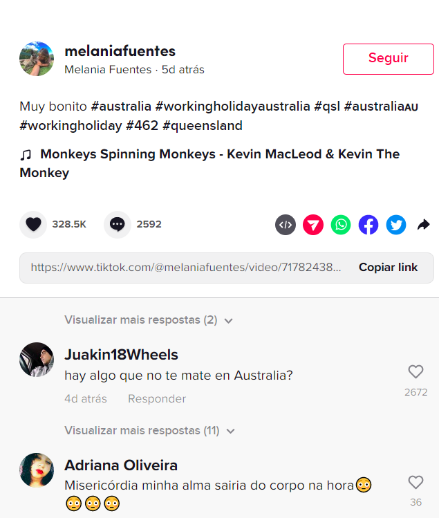 O registro logo ganhou repercussão porque diversos internautas começaram a comentar no vídeo, dizendo que o animal não só não era inofensivo como se tratava de uma das aves mais perigosas do mundo!