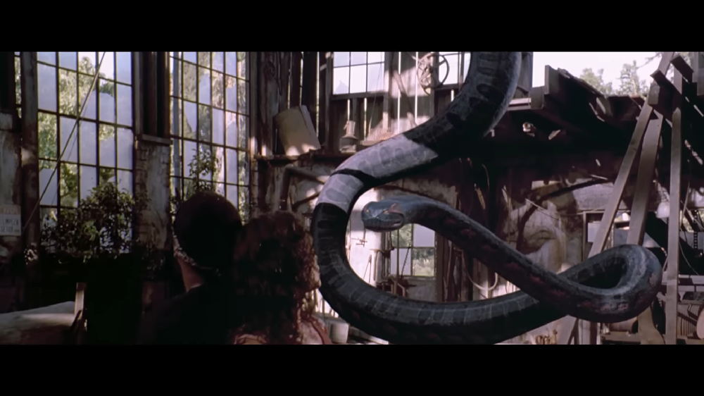 Anaconda (1997) - Na trama, um grupo de documentaristas vem ao Brasil para uma nova produção. Mas eles acabam sendo caçados por uma cobra gigante.