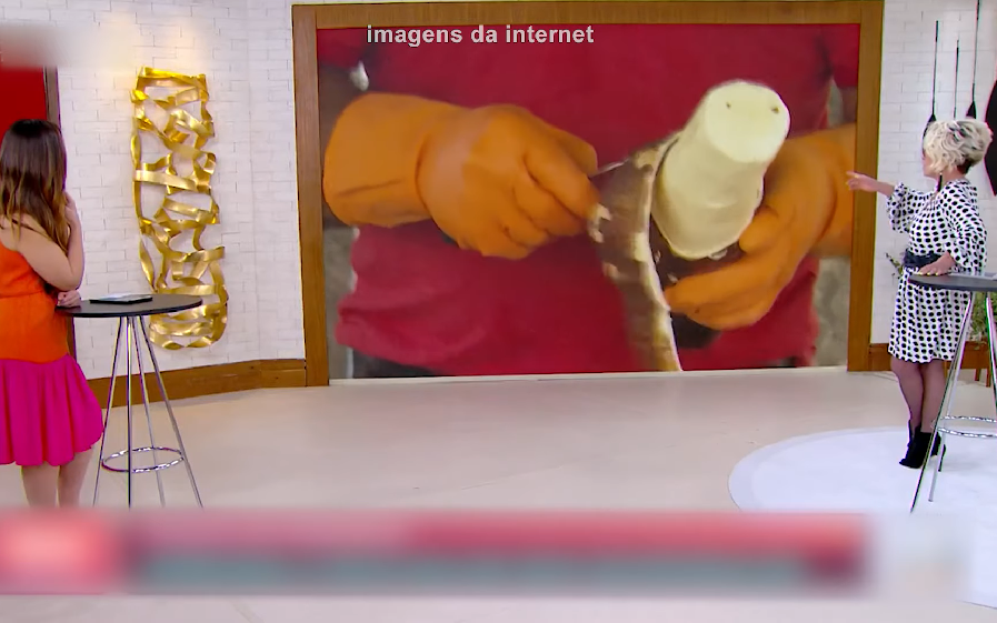 Além disso, ela seguiu com as piadas de duplo sentido. O senhor está acostumado a descascar mandioca, então? A sua mandioca é mais parruda. A internet não perdoou, com Ana Maria Braga virando meme (mais uma vez).