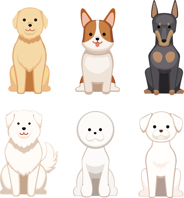 Mas o Doberman não está sozinho no quesito ciúmes. Outras raças são muito apegadas a seus donos. Veja algumas: 