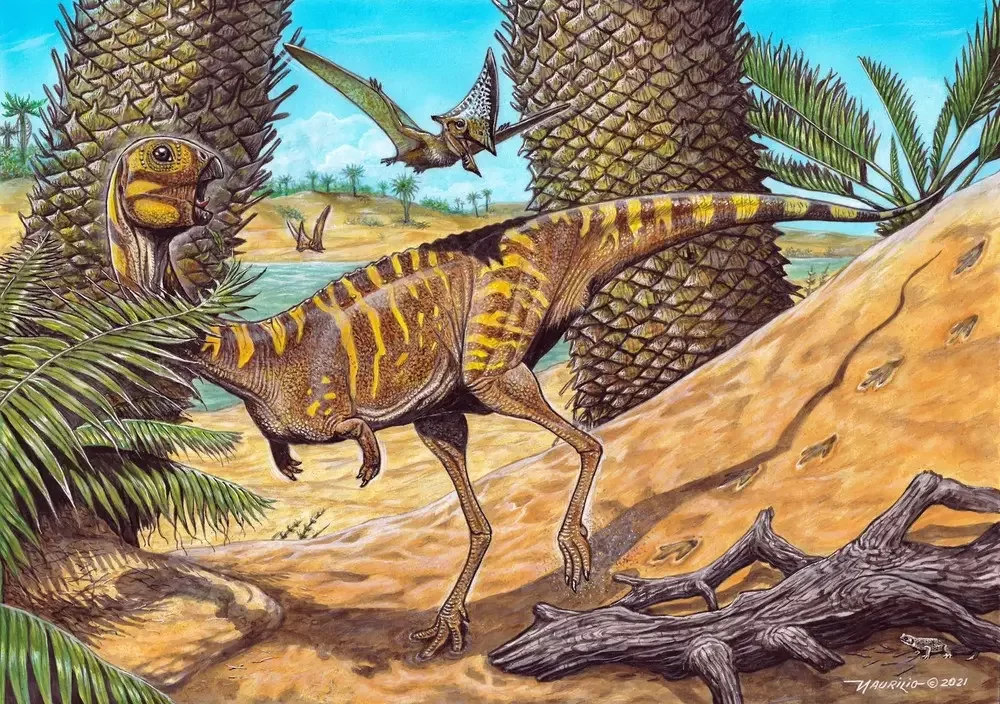 A descoberta foi publicada na revista científica Cretaceous Research, da Holanda. Além disso, ganhou destaque internacional e foi noticiada pelo portal britânico BBC News.