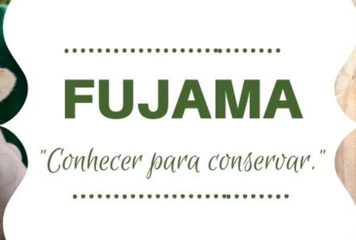 O portal NSC Total divulgou que o biólogo Gilberto Duwe, da Fundação Jaraguaense de Meio Ambiente, esteve no local. 