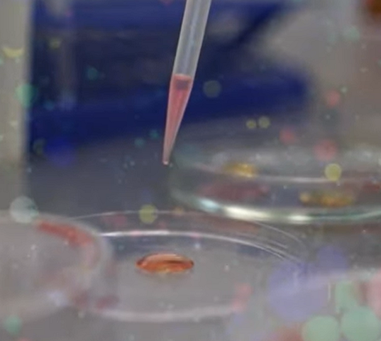 Essa pesquisa integra um esforço mais amplo, voltado para o desenvolvimento de biofármacos a partir de moléculas bioativas extraídas de venenos.