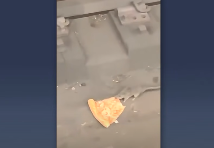 Outras imagens mostram ratos dentro do transporte público, assustando pessoas nos ônibus e no metrô, e até arrastando pedaços de pizza pelo chão.