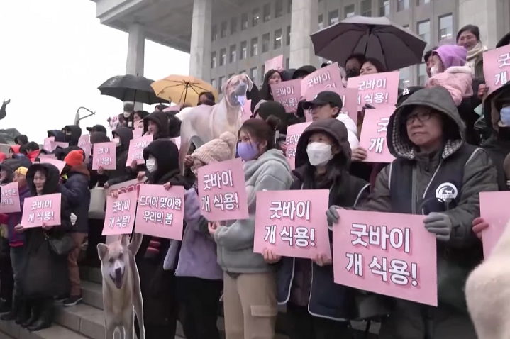 Essa decisão foi tomada após uma campanha de vários anos liderada por ativistas locais e apoiada por celebridades em todo o mundo.