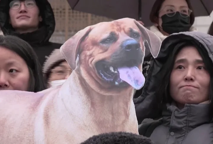 De acordo com o governo, pessoas que trabalham nesse tipo de indústria receberão subsídios do governo para conseguir novos empregos. A lei prevê a punição de infratores com pena de dois anos de prisão ou multa equivalente a R$ 110 mil.