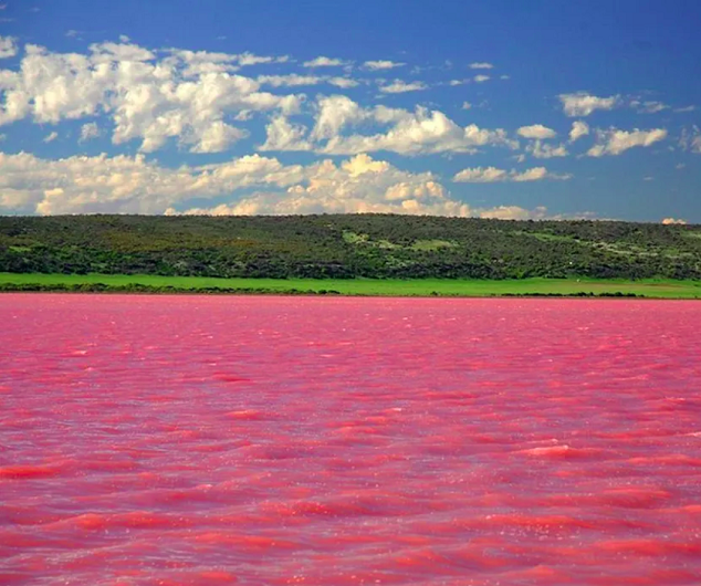 Por conta das mudanças climáticas, a coloração rosa tem atingido o lago cada vez mais cedo a cada ano.