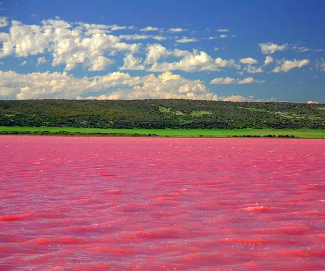Por conta das mudanças climáticas, a coloração rosa tem atingido o lago cada vez mais cedo a cada ano.