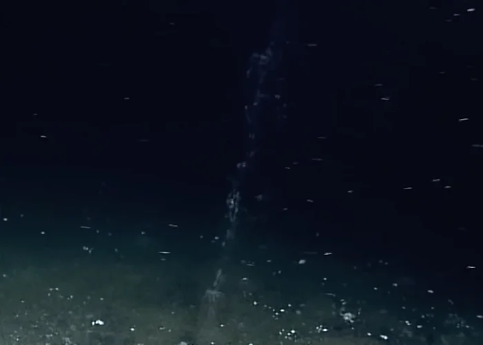 Os peixes que vivem nas profundezas do oceano, conhecidos como peixes abissais ou de águas profundas, habitam um dos ambientes mais extremos e menos explorados da Terra.