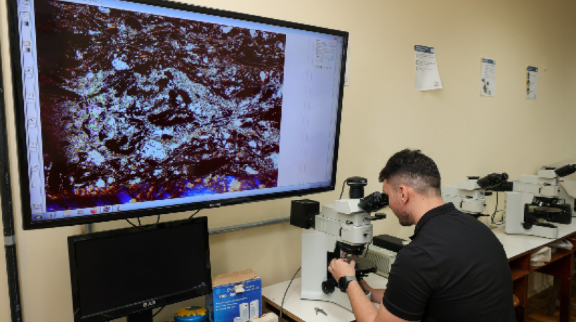 Depósito de manganês em Ocara (CE) foi identificado por estudo da UFC como o de maior concentração média de cobalto entre as áreas analisadas no Brasil

