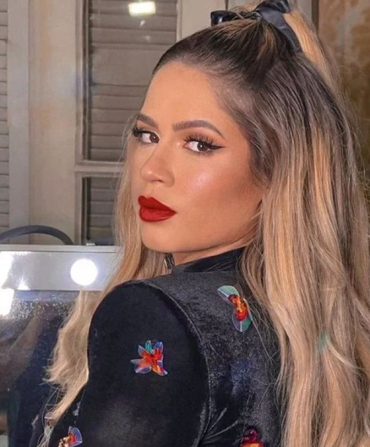 O Centro de Investigação e Prevenção de Acidentes Aeronáuticos (Cenipa) também concluiu a investigação sobre o acidente e, da mesma forma, chegou à conclusão de que houve erro dos pilotos. 