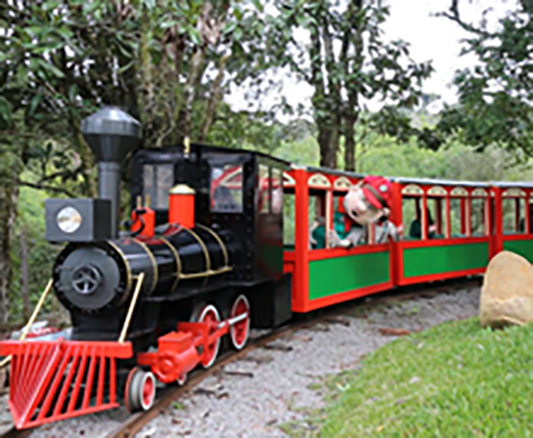 Mundo a Vapor (Canela-RS):  Museu sobre máquinas que funcionavam a vapor, como olaria e ferraria. A fachada reproduz um famoso acidente em Paris, em 1895, quando uma locomotiva atingiu a estação de Montparnasse. Foi construído nos anos 90 pela família Urbani, dona de oficina mecânica. 