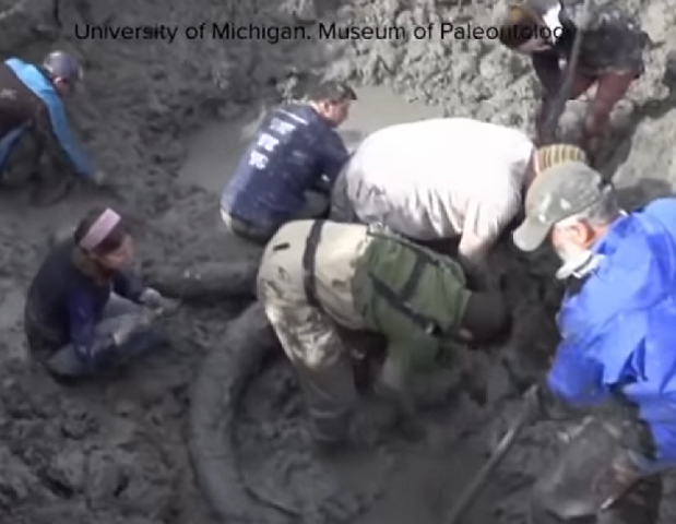 Além do fóssil em si, três pedras do tamanho de bolas de basquete estavam ao lado do mamute, sendo uma delas bem maior do que as outras.