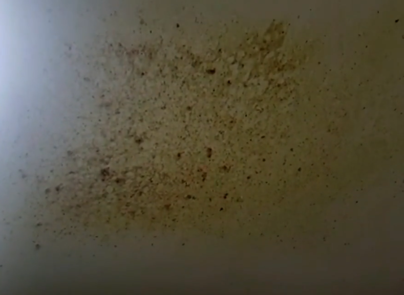 A força foi tão grande que um monte de feijão foi parar no teto da cozinha. 