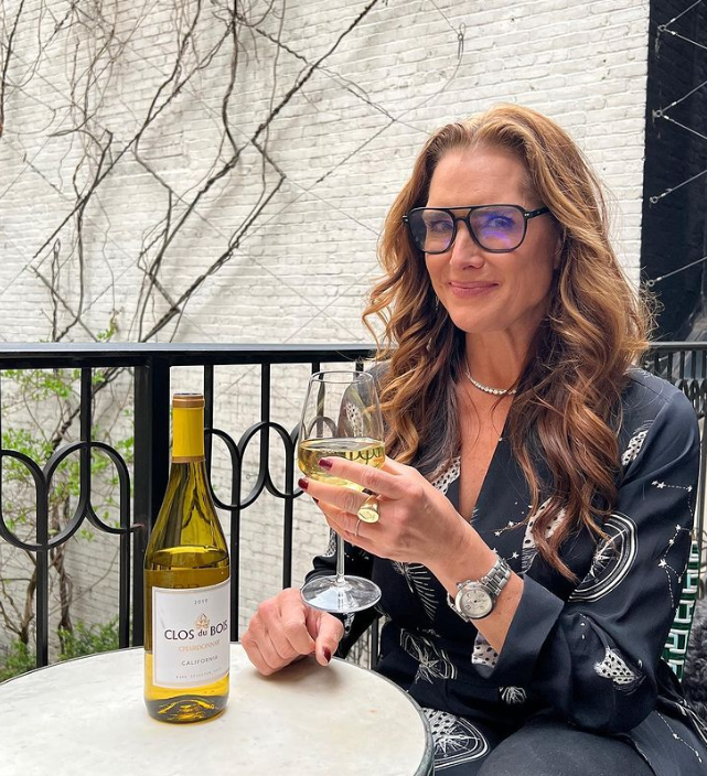 Brooke Shields - Atriz americana - Tem ancestrais da nobreza italiana. Seus pai era um empresário e executivo da Revlon em Nova York (filho de um premiado tenista, Frank Shields),  enquanto sua mãe era uma princesa, cuja família administrava finanças do Vaticano.