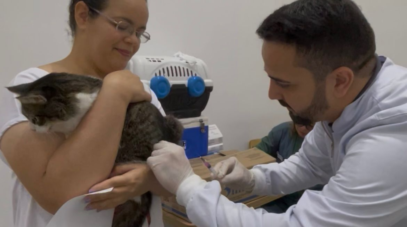 A ação, que ocorre neste sábado, 20, contará com vacinação antirrábica e consultas veterinárias de orientação