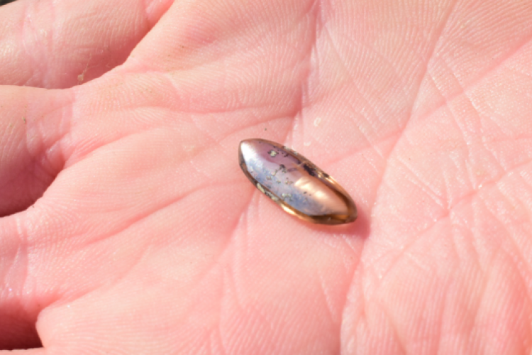 O diamante castanho de quase 3 quilates encontrado pela família de Madison é comprido e brilhante