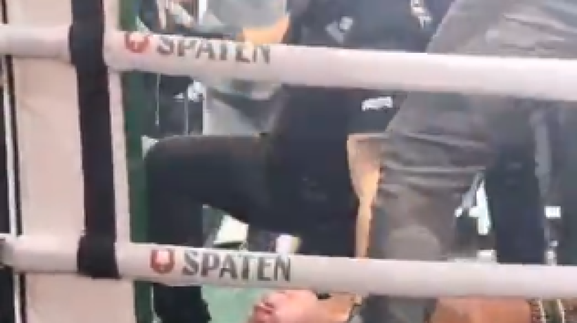 Wanderlei SIlva foi nocauteado na confusão generalizada após a luta