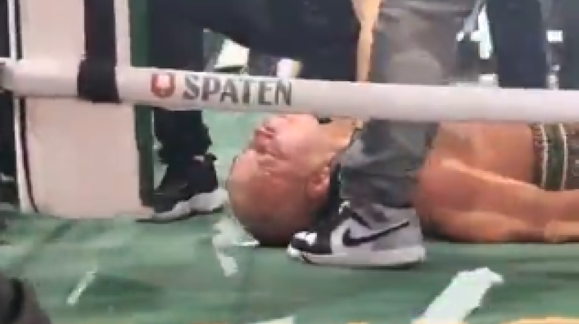 Wanderlei SIlva foi nocauteado na confus&atilde;o generalizada ap&oacute;s a luta