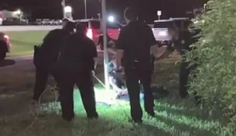 Jacarés também são ameaças em moitas. Em junho/22, ainda na Flórida, um homem ouviu um barulho, achou que era um cachorro e um jacaré saiu de um arbusto para atacá-lo. Ele foi mordido na perna.  