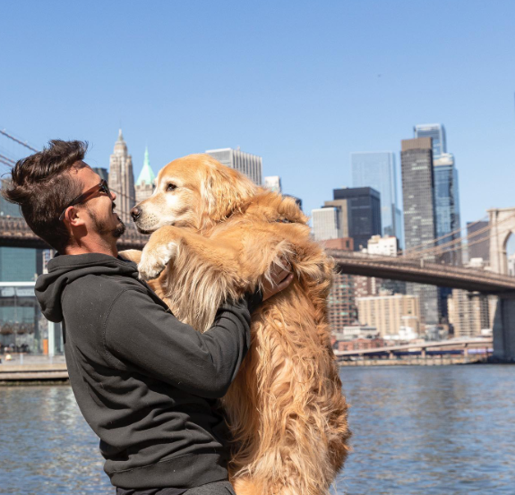 Em julho de 2022, a tradicional Cãominhada, evento que faz parte da programação de aniversário de Balneário Camboriú, homenageou o cão Shurastey e seu tutor Jesse Koz. 