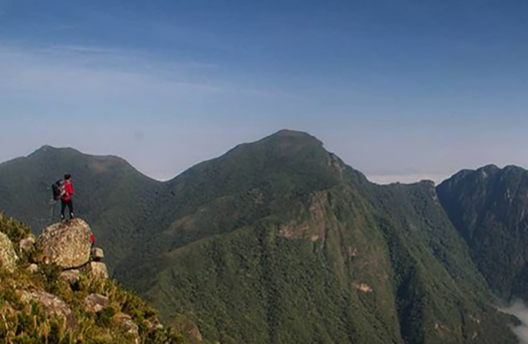 O New York Times ressaltou que a Mata Atlântica é um dos ecossistemas mais ricos da Terra e que a criação da trilha é um esforço que serve para inspirar, encantar e motivar a explorar o mundo. 