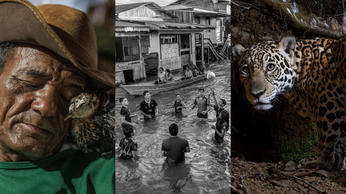 Três fotógrafos brasileiros têm fotografias entre as melhores do mundo em 2025