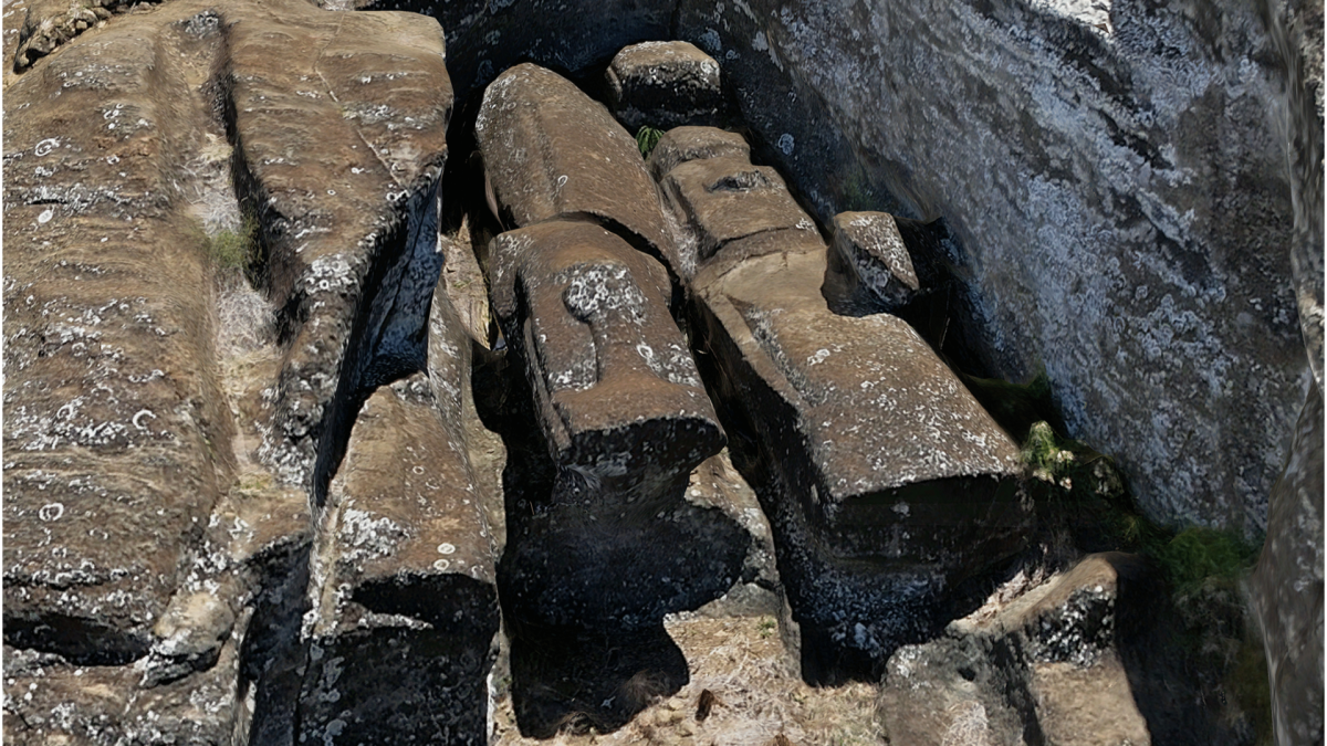 Os moais inacabados, presos à rocha por 