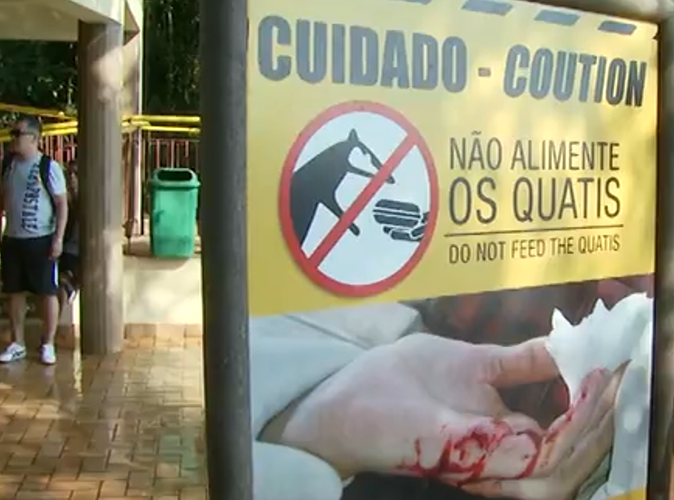 Placas advertem para que as pessoas não alimentem os quatis. Com isso, elas evitam a aproximação dos animais. 