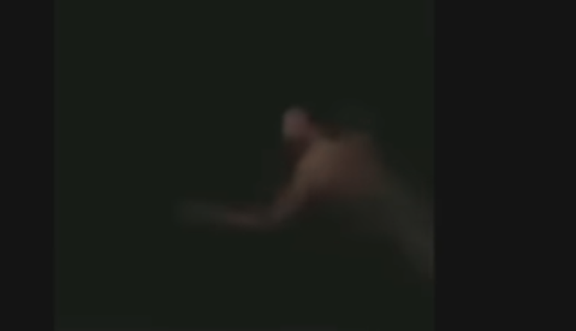 Um vídeo mostrou o momento em que Cameron se jogou ao mar infestado de tubarões. As imagens não são  nítidas porque era noite e o vídeo foi feito pelos colegas. Mas dá pra ver o rapaz em seus últimos momentos de vida