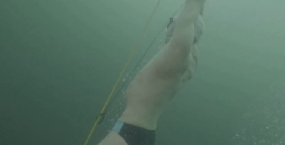 Ele foi levado ao hospital por precaução, mas foi liberado em seguida após os médicos confirmarem que ele estava bem de saúde.